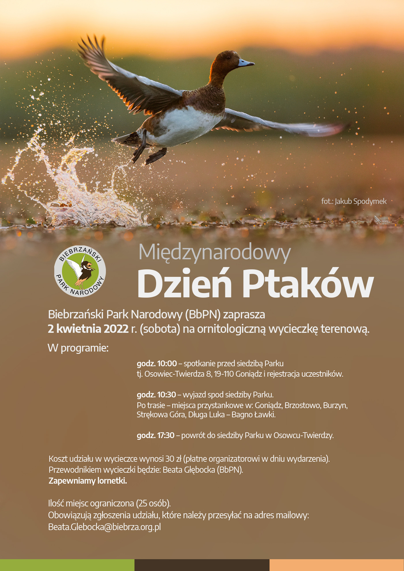 plakat informacyjny_Międzynarodowy Dzień Ptaków 