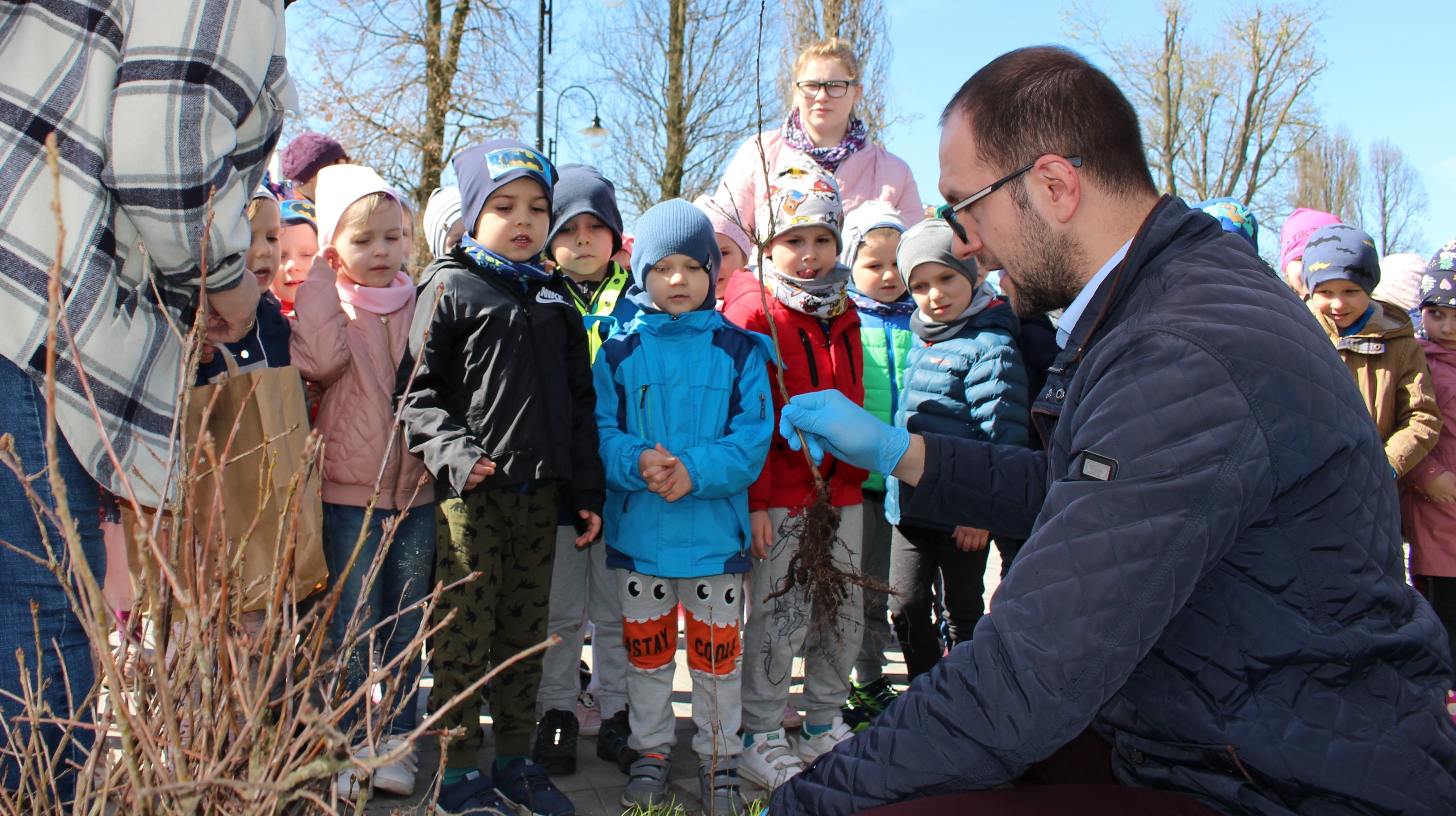 burmistrz rozdaje sadzonki drzew przedszkolakom