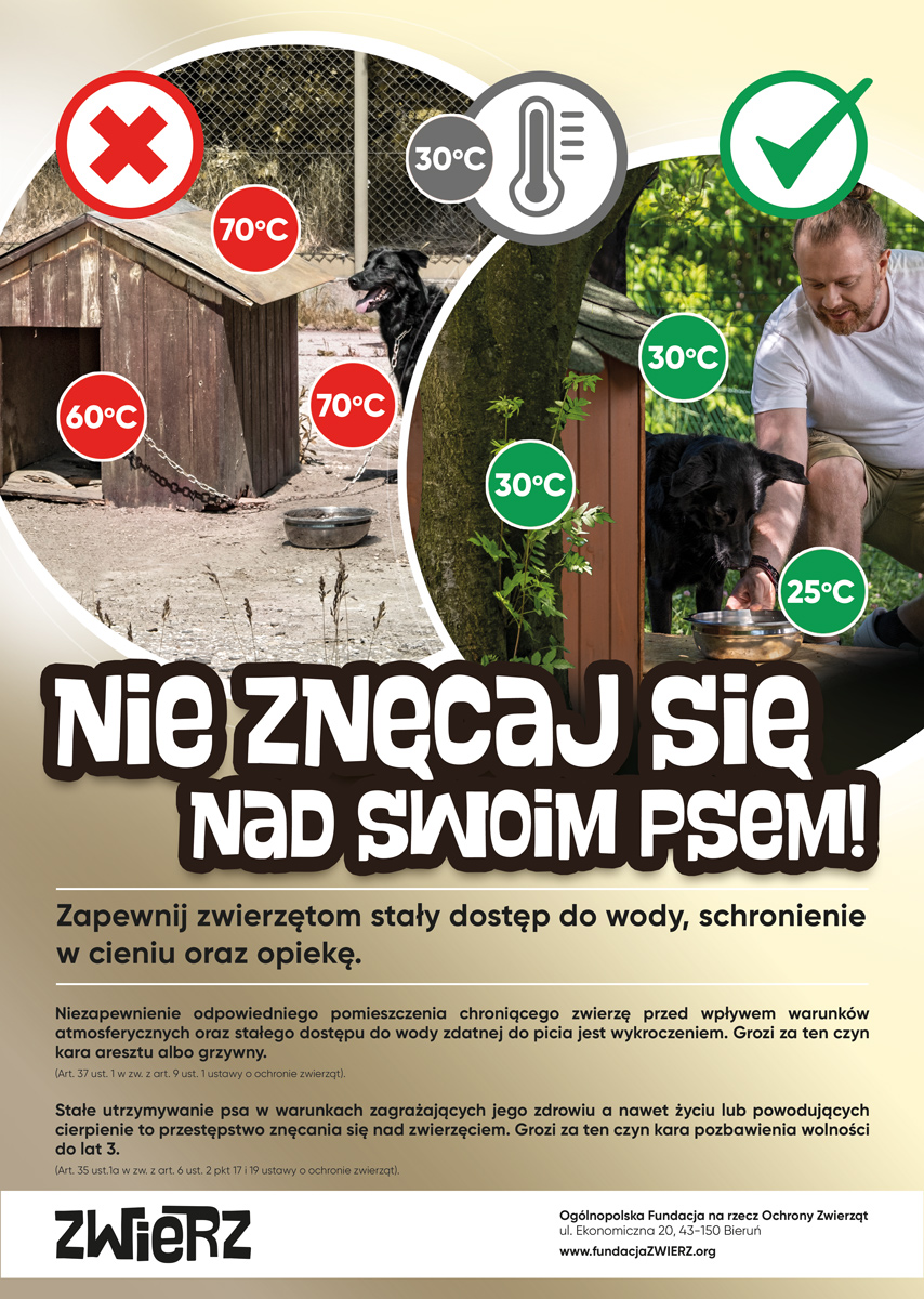 infografika_nie znęcaj się nad swoim psem