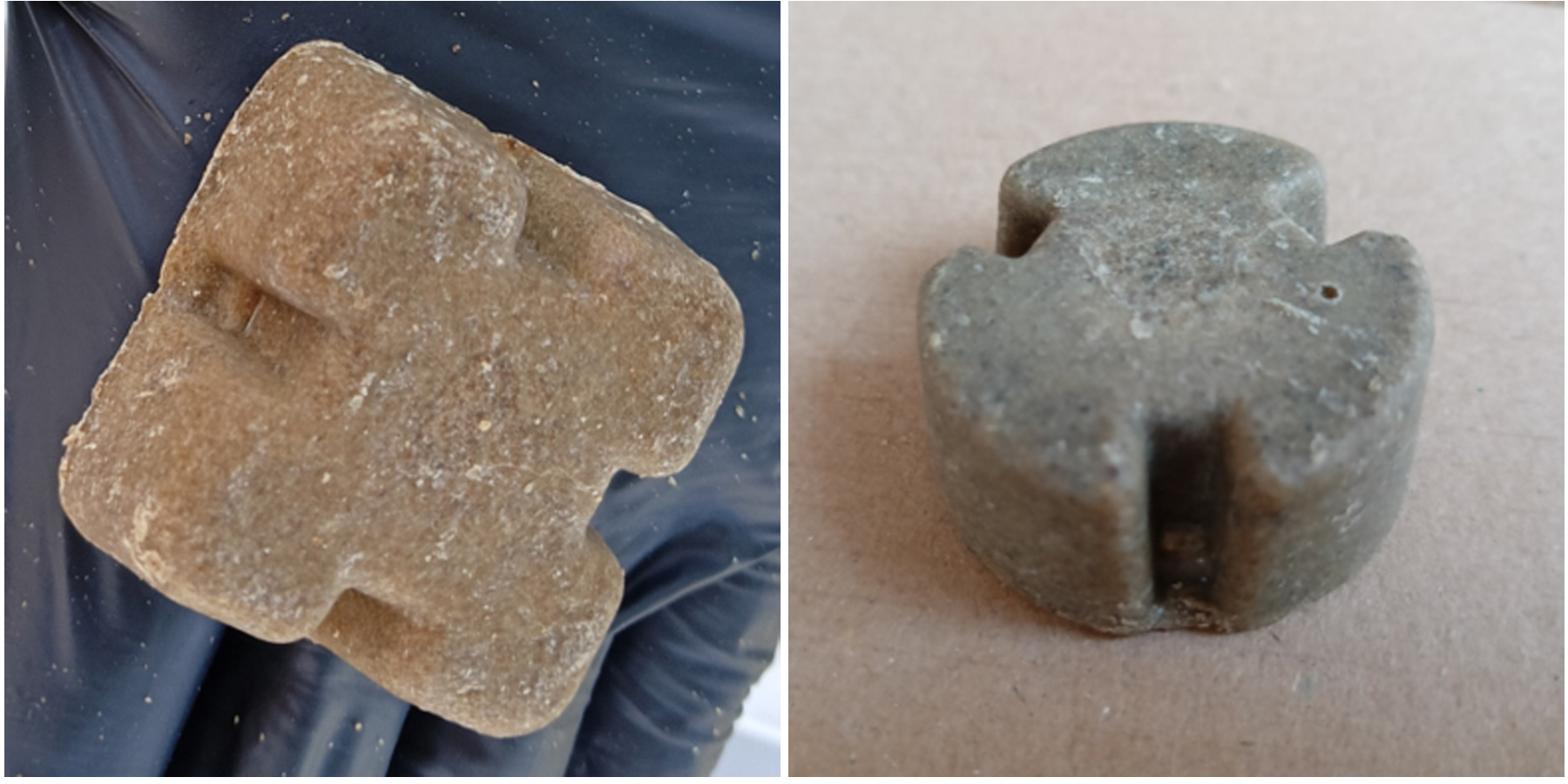 SZCZEPIONKA DLA LISÓW