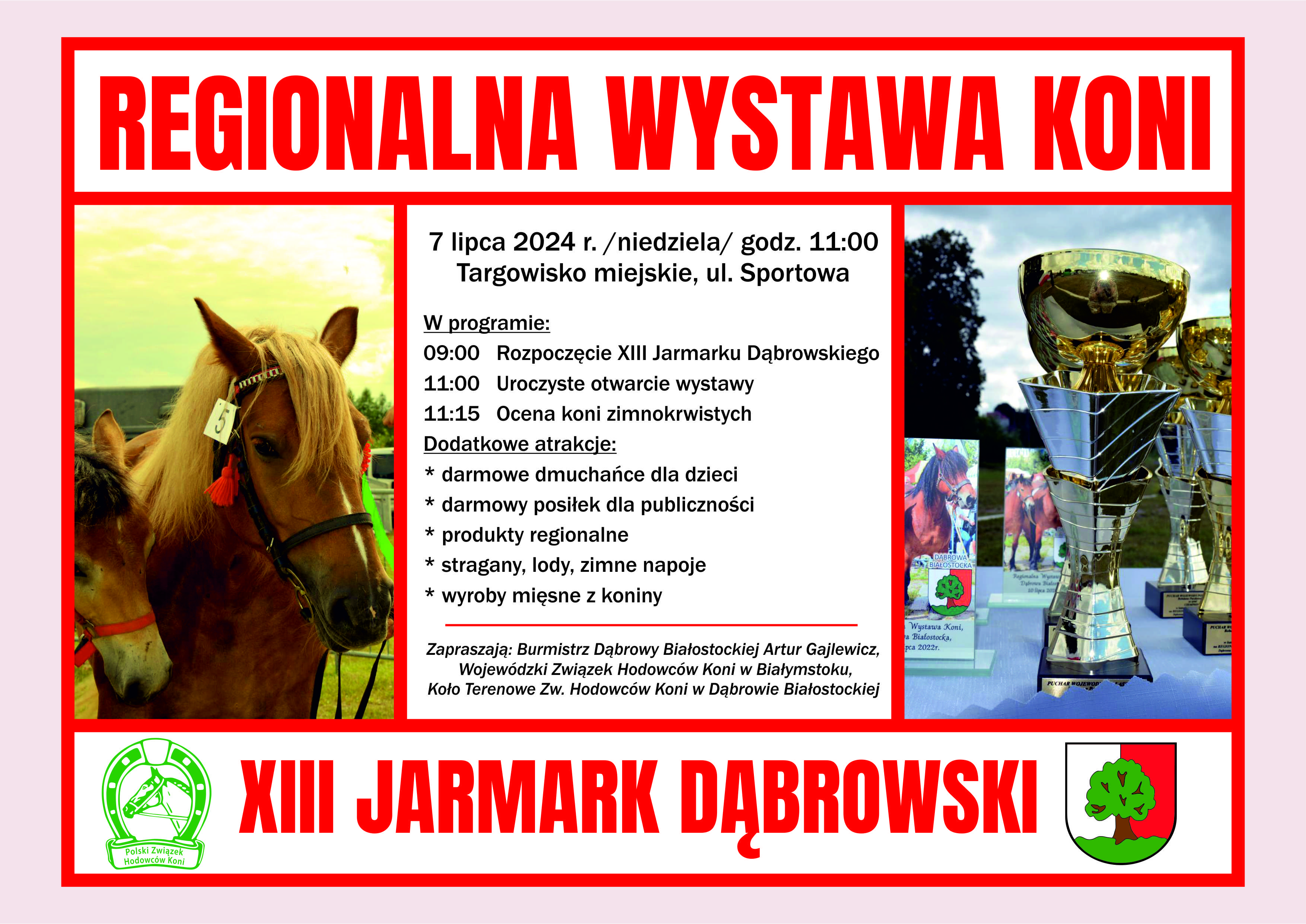 REGIONALNA WYSTAWA KONI_XI JARMARK DĄBROWSKI